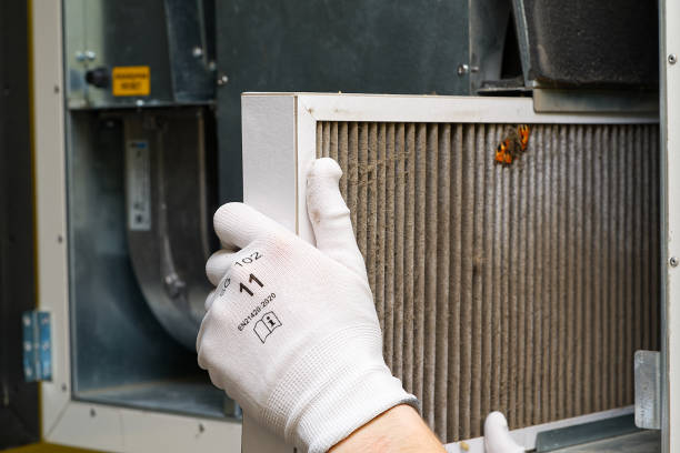 Best Air Duct Cleaning Near Me  in Pueblo West, CO