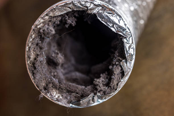 Best HVAC Duct Inspection Services  in Pueblo West, CO