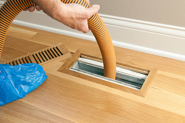 Best Air Duct Sanitizing Services  in Pueblo West, CO