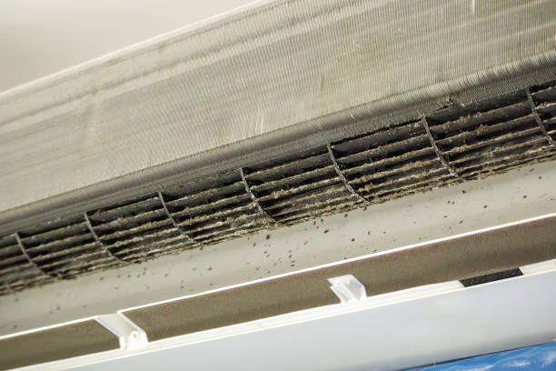 Best Residential Air Duct Cleaning  in Pueblo West, CO